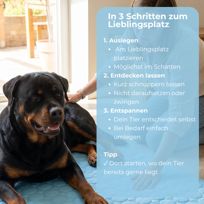 BreezePaw™ – Kühlung für Fellnasen