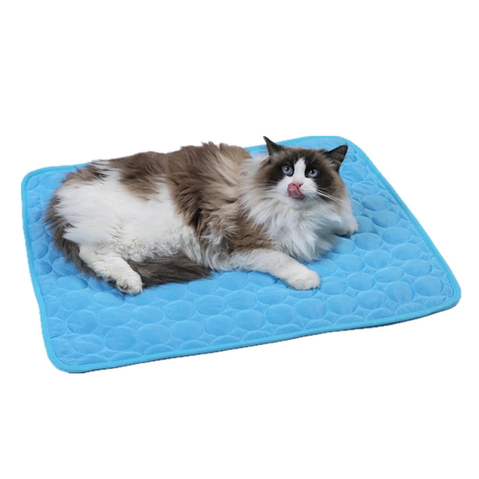 BreezePaw™ – Kühlung für Fellnasen