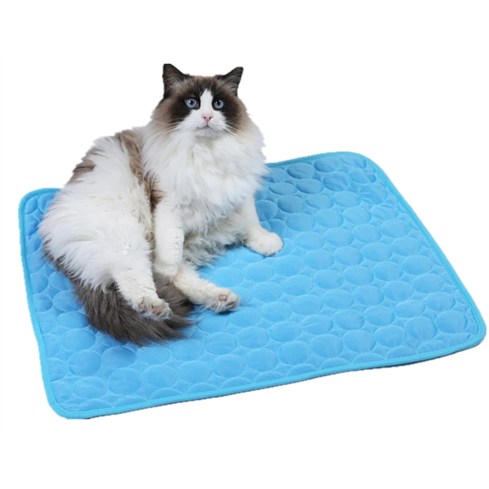 BreezePaw™ – Kühlung für Fellnasen