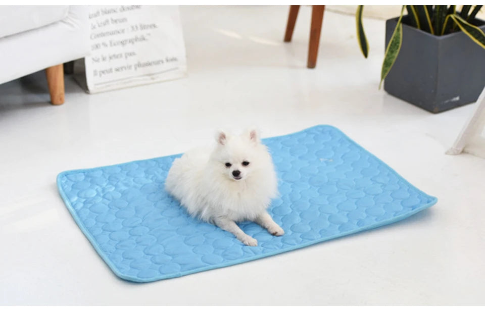 BreezePaw™ – Kühlung für Fellnasen